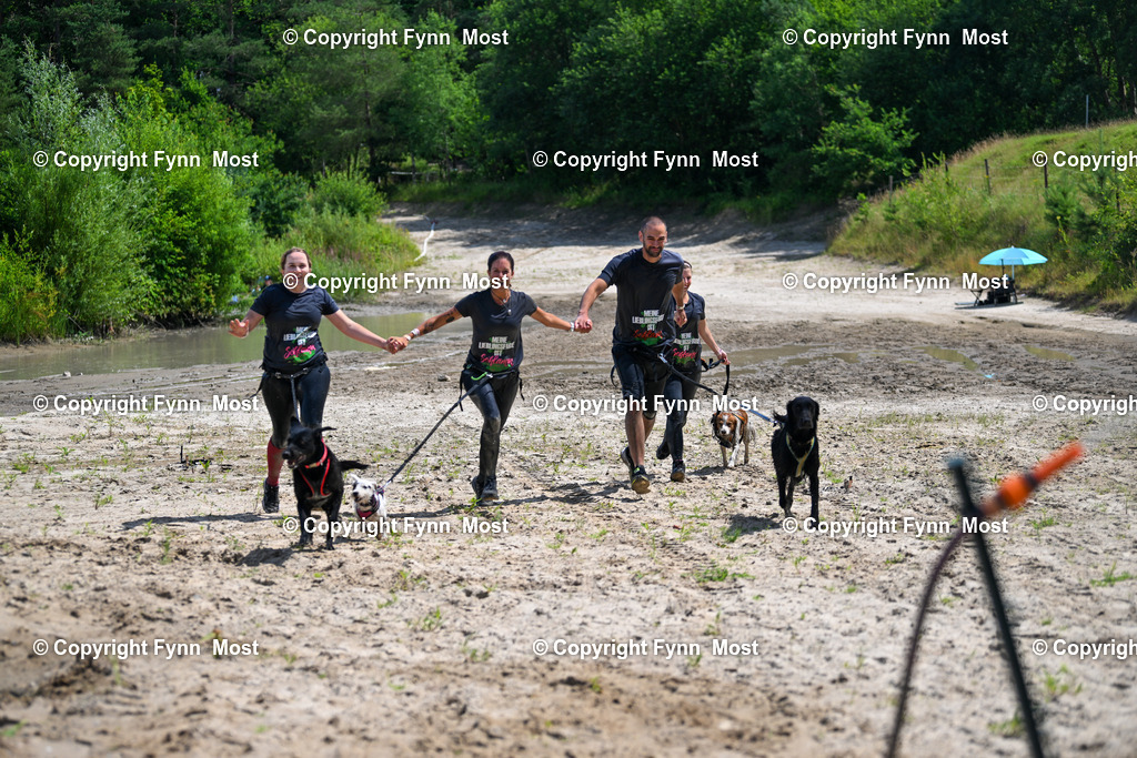 DSC_1658 | Hallo und herzlich Willkommen auf meiner Shop-Seite Fynn Most.

Ich wünsche Dir viel Spaß beim stöbern durch die Bilder, wenn Du Fragen hast oder Bilder vermisst, kannst du mir gerne eine Nachricht schreiben. - Realisiert mit Pictrs.com