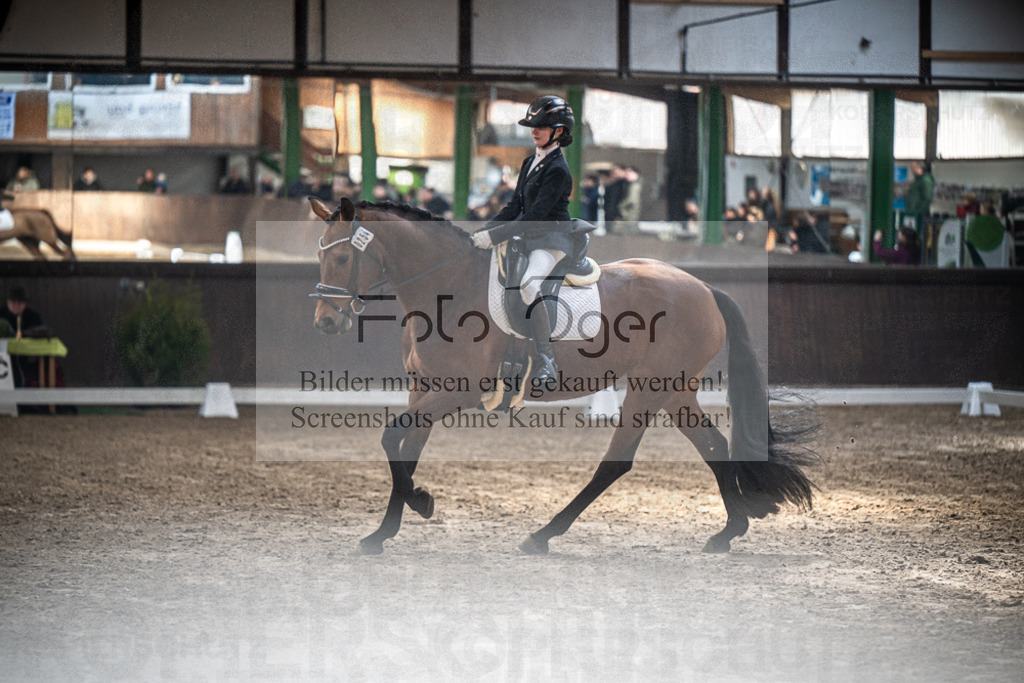 DOS_0417 | Entdecke hochwertige Reitturnierfotos von Foto Oger. Professionell, emotional und authentisch – jetzt Lieblingsmomente im Shop bestellen.Deutschlandweite Turnierfotografie. - Realisiert mit Pictrs.com