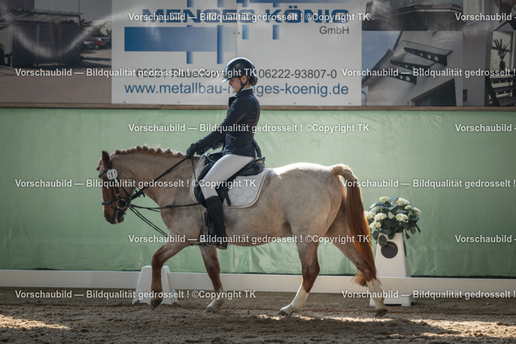 _D5A8679 | Emotionale Pferde- & People-Fotografie rund um Heidelberg, Leimen & Umgebung. Natürliche Fotos von Pferd, Mensch & Familie. Jetzt Termin sichern!