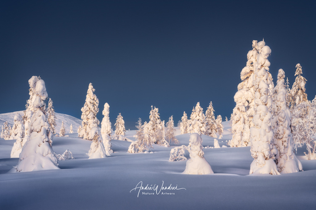 Seltene Wesen aus Eis | Andre Wandrei - Nature Artworx - Realisiert mit Pictrs.com