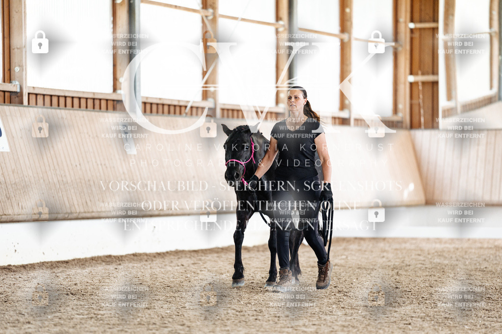 CK908346 | Turnierfotografie Pferdefotografie Trier Rheinland-Pfalz Pferdesport Reitsport Tierfotografie Sportfotografie Pferdevideo Pferdevideografie Equestrianvideography equestrianphotography  - Realisiert mit Pictrs.com