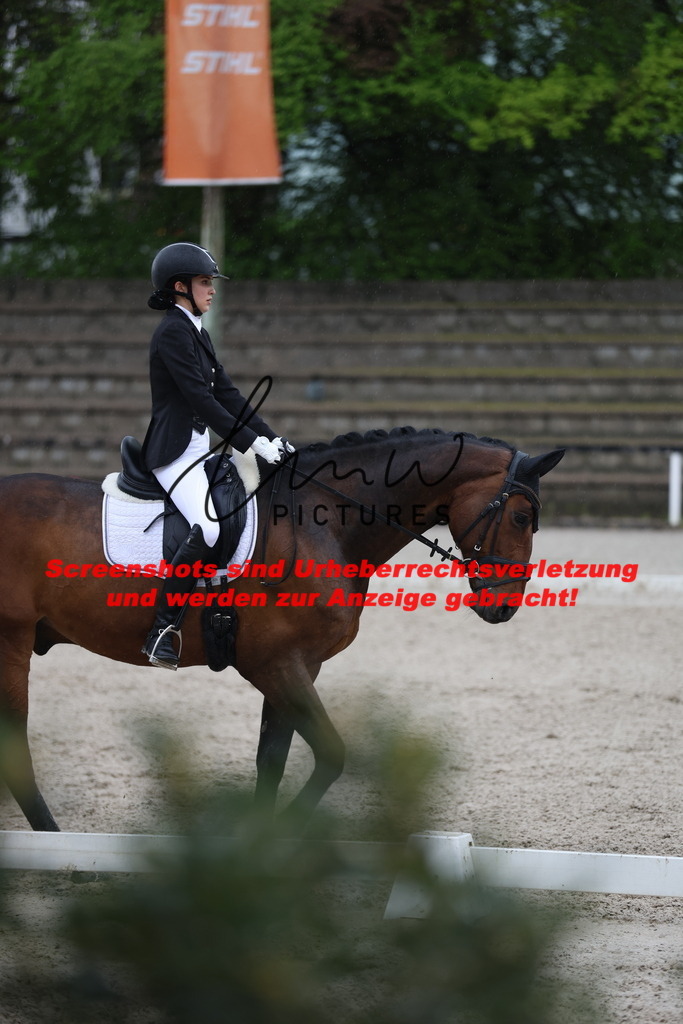 A40A8936 | lmwpictures - Realisiert mit Pictrs.com