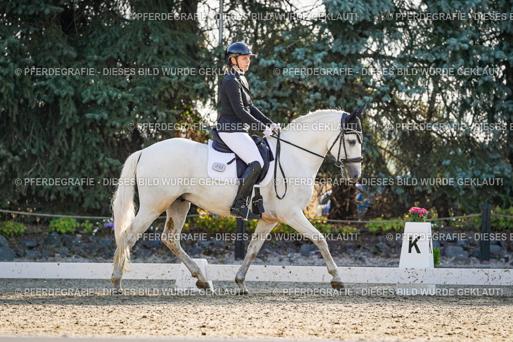 DSC08661 | Pferdegrafie