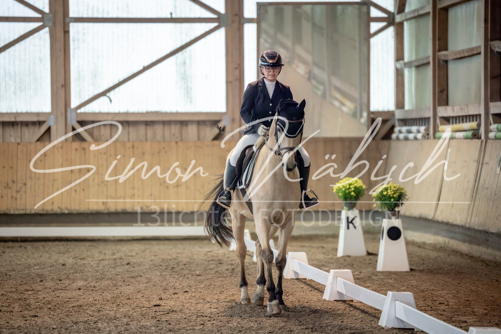 20251011-_3LI5888 | Tierfotografie Pferde, Hunde, Katzen, Haustiere.
Turnierfotografie Reitturniere, Reiten, Springreiten, Dressur in Hanau, dem Main-Kinzig-Kreis und dem Rhein-Main- Gebiet um Frankfurt
