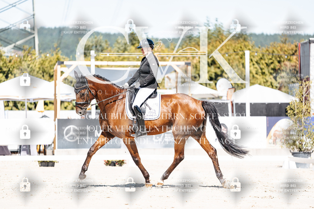 CK909236 | Turnierfotografie Pferdefotografie Trier Rheinland-Pfalz Pferdesport Reitsport Tierfotografie Sportfotografie Pferdevideo Pferdevideografie Equestrianvideography equestrianphotography  - Realisiert mit Pictrs.com