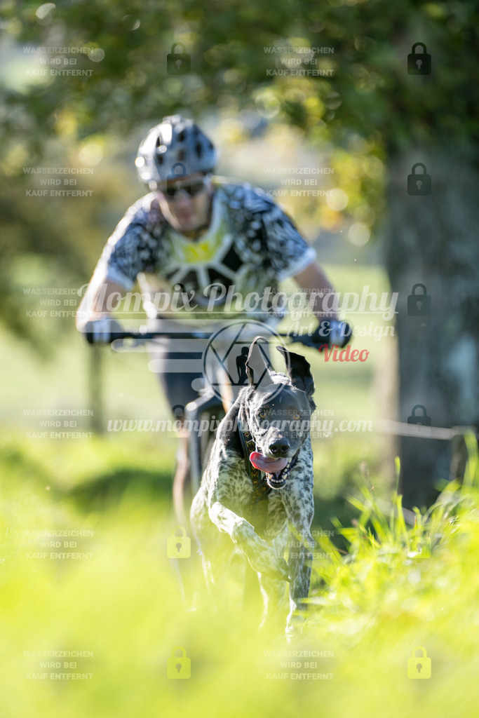 MompixPhotography_20TSB_E3_DS1-6 | PayLife
