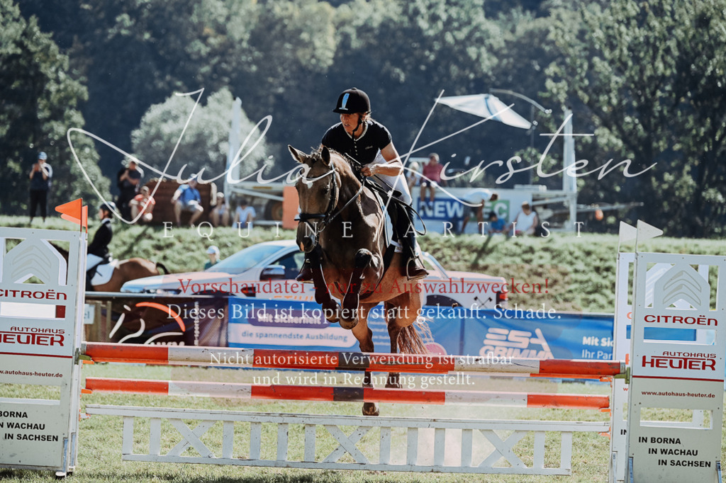 DSC_5937 | Pferde- und Turnierfotografie in Westsachsen. Pferdeportraits, Auftragszeichnungen und intuitive Kunst.