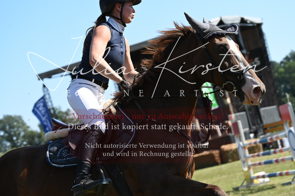 DSC_6457 | Pferde- und Turnierfotografie in Westsachsen. Pferdeportraits, Auftragszeichnungen und intuitive Kunst.