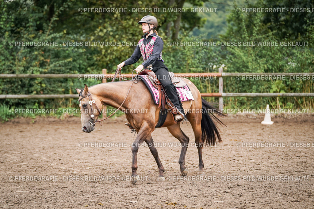 DSC02517 | Pferdegrafie