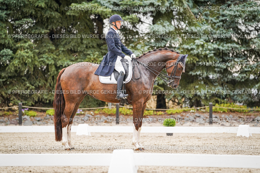 DSC07761 | Pferdegrafie