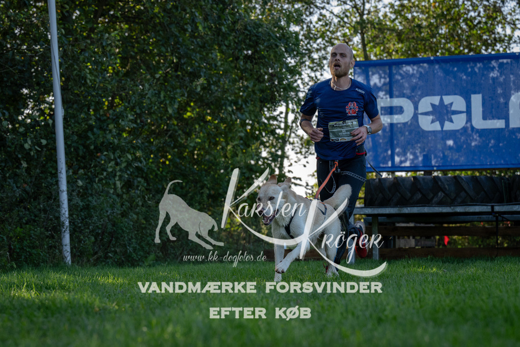 1036-91168 | kk-dogfotos