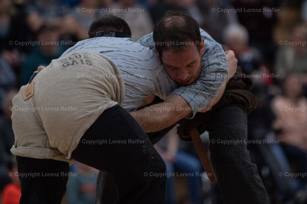 Schwingen -  Lichtmess 2024 | Gais, 3.2.24, Schwingen - Lichtmess.