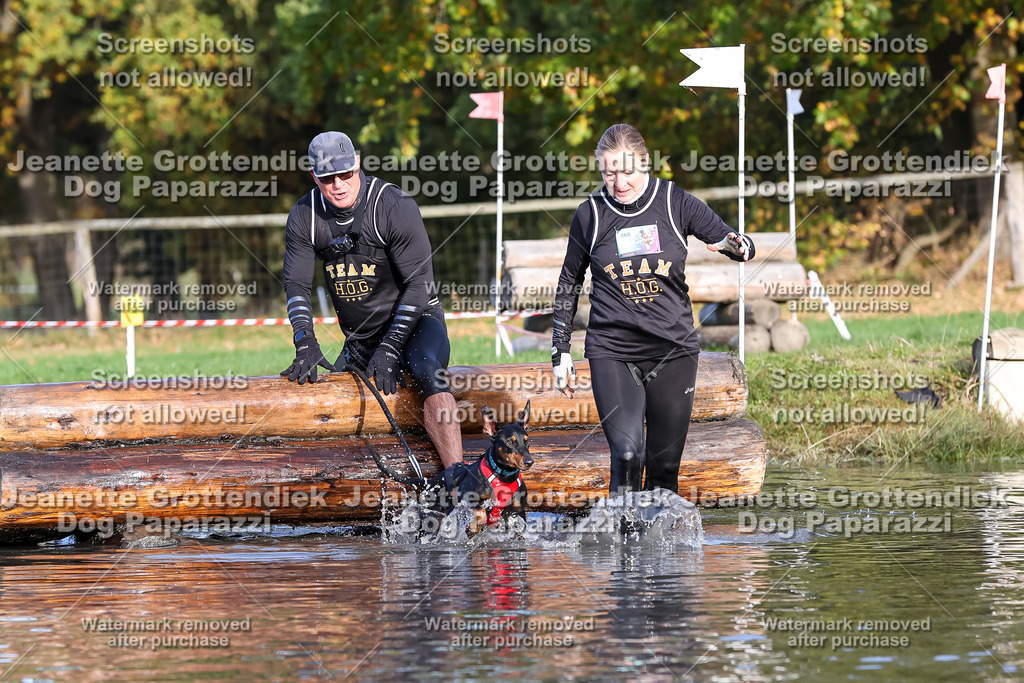 Dog Paparazzi - Strongdog 10-25-8452 | Dog Paparazzi Jeanette Grottendiek Fotografie & Videografie - Realisiert mit Pictrs.com