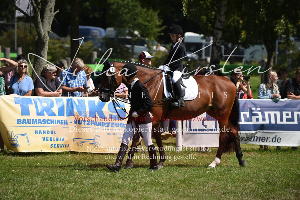 DSC_9774 | Pferde- und Turnierfotografie in Westsachsen. Pferdeportraits, Auftragszeichnungen und intuitive Kunst.