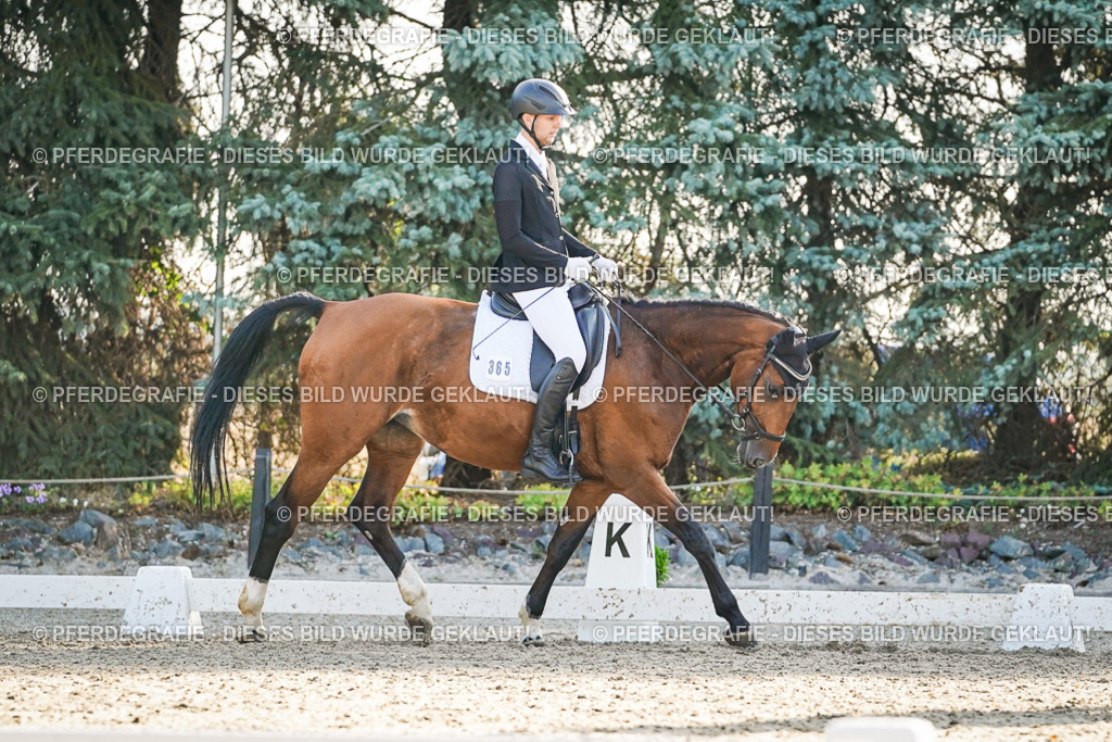 DSC08315 | Pferdegrafie