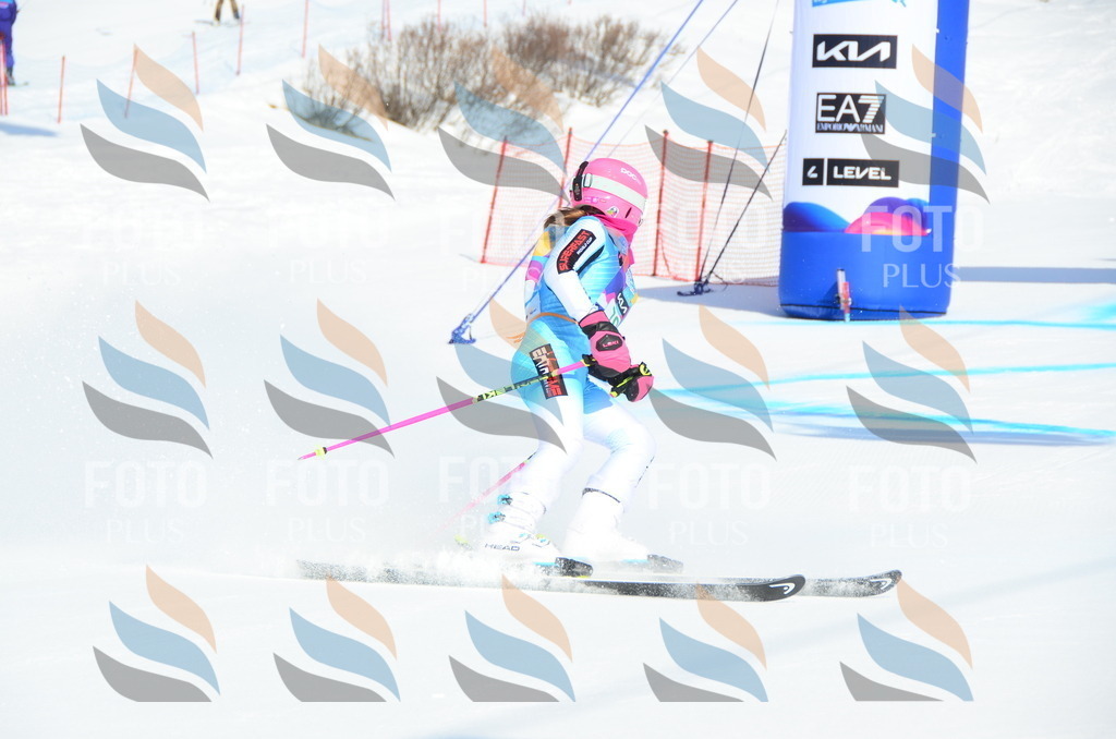 DSC_0406 | holidayphoto