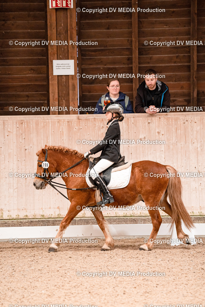 Dressur Tag 2-581 | dv-media-shop - Realisiert mit Pictrs.com