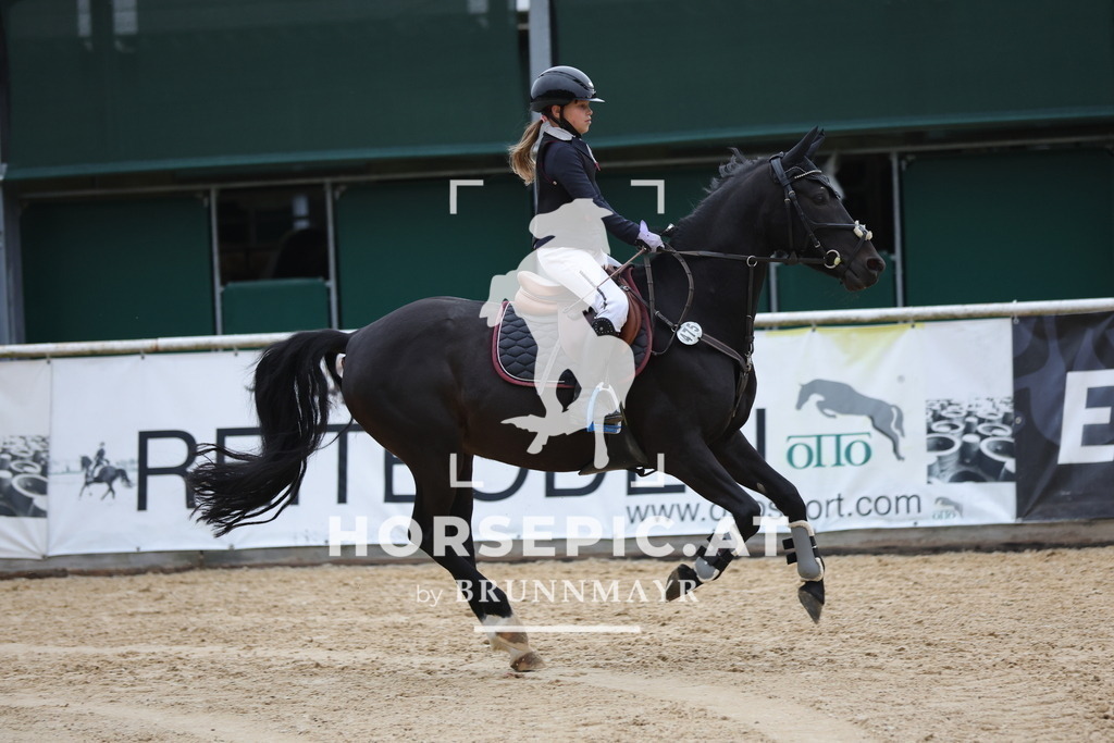 0P6A4666 | Willkommen bei Brunnmayr - Design & Fotografie – Ihrem Spezialisten für Reitturniere und Pferdeveranstaltungen in Oberösterreich, Salzburg und Bayern! Seit über 17 Jahren sind wir leidenschaftlich dabei.