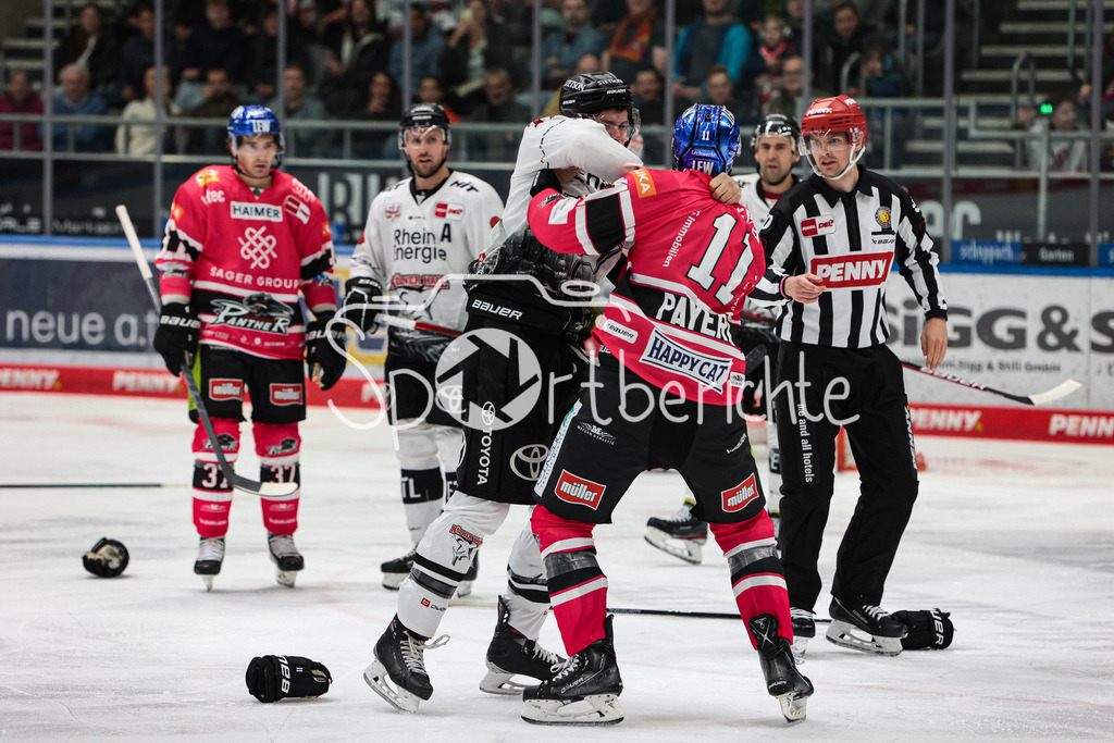 Augsburger Panther - Koelner Haie  | Alexander ROACH (KEC #77) und Adam Payerl (AEV #11) haben einen Kampf auf dem Eis / Fight / Boxing / Boxen / Kaempfen / Kämpfen