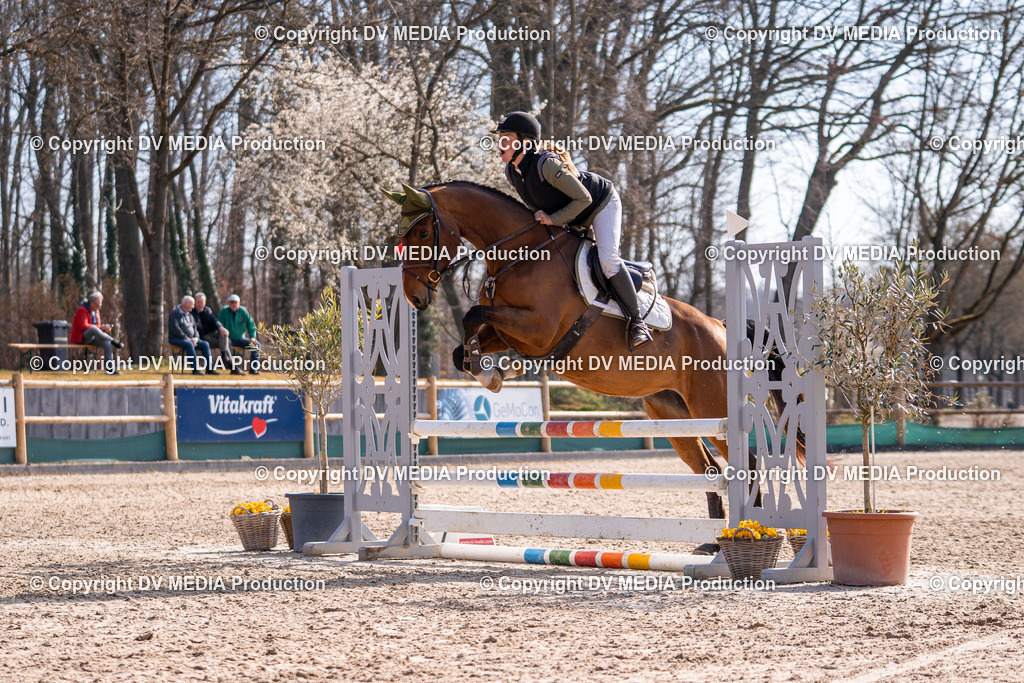 Kranichstein Tag 1-214 | dv-media-shop - Realisiert mit Pictrs.com