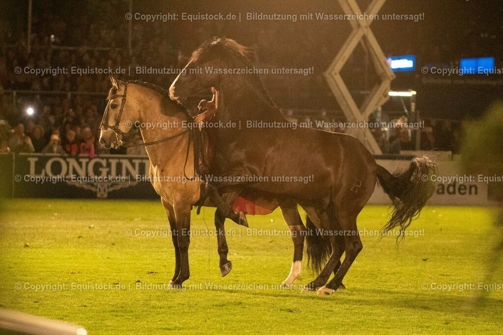 20230526_Pferdenacht_1456 | equistock