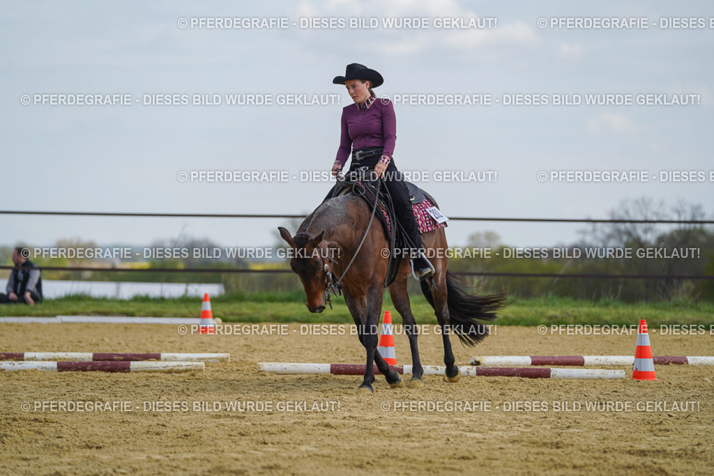 DSC05046 | Pferdegrafie