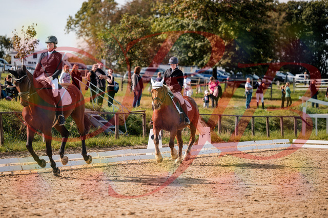 2026_10_03_Siefer-Hof_130345_Z63_66178817 | Professionelle Reitsport-, Turnier- und Eventfotografie von Robert Broda. Galerien mit ausgewählten und bearbeiteten Bildern direkt online ansehen und bestellen.