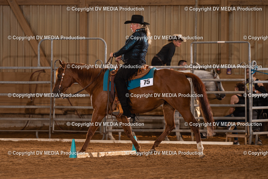 NID00944 | dv-media-shop - Realisiert mit Pictrs.com