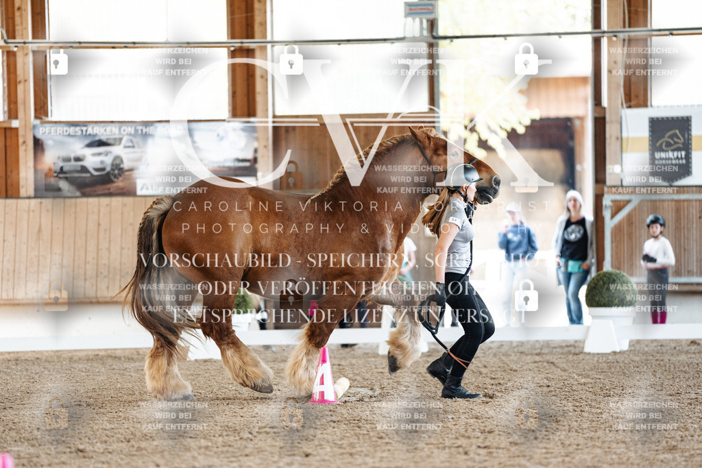 CK905454 | Turnierfotografie Pferdefotografie Trier Rheinland-Pfalz Pferdesport Reitsport Tierfotografie Sportfotografie Pferdevideo Pferdevideografie Equestrianvideography equestrianphotography  - Realisiert mit Pictrs.com