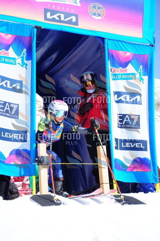 DSC_4346 | holidayphoto