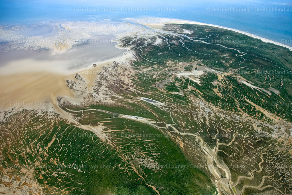 3090276 | Vogelschutzgebiet Memmert, Nationalpark Niedersächsisches Wattenmeer