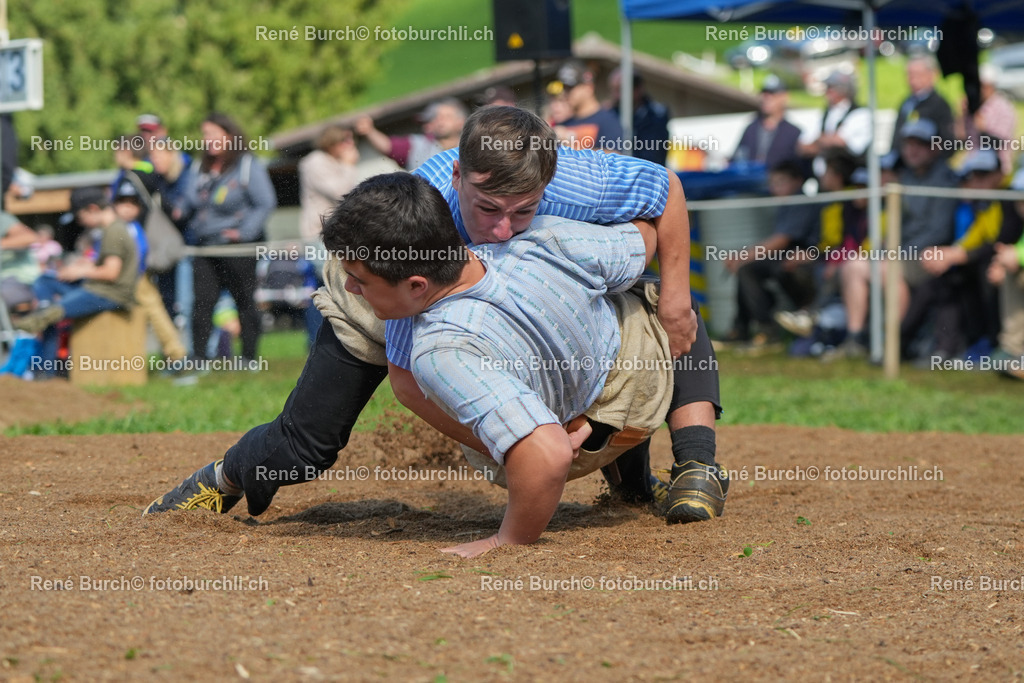 RB_00579-2 | René Burch leidenschaftlicher Fotograf aus Kerns in Obwalden.  Hier finden sie Sport, Landschaft und Natur Fotografie.
 - Realisiert mit Pictrs.com