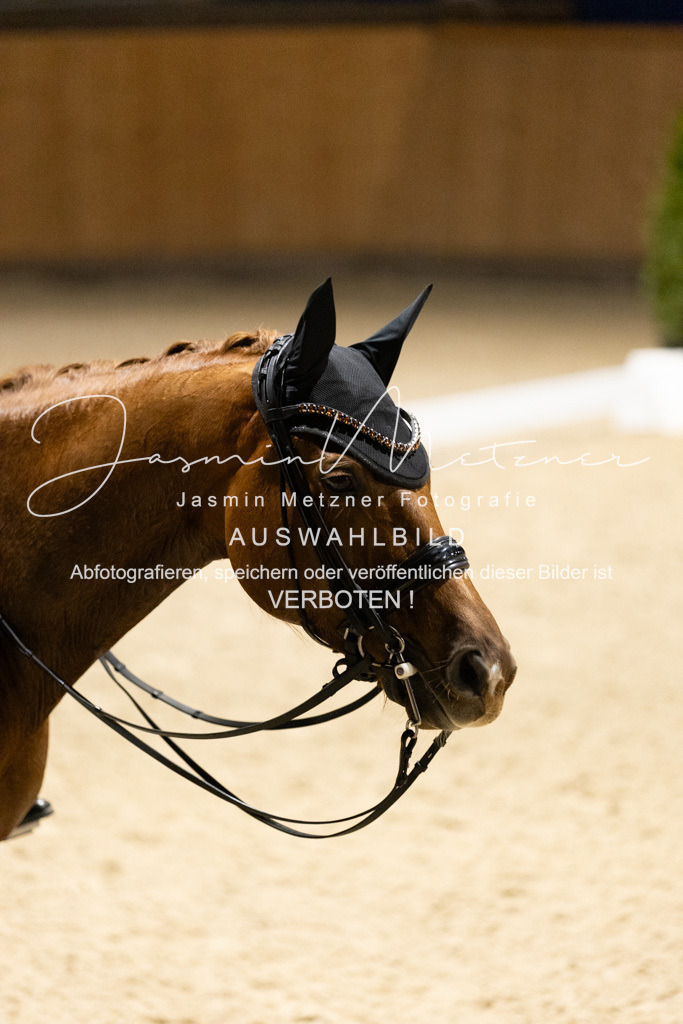 126A8923 | jasminmetznerfotografie