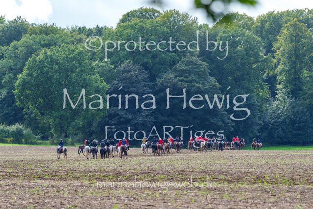 Jagd Perdoel 26 Sony-04139_MarinaHewig | Fotografie, FotoArt, PferdesportArt, Pferdesportfotografie, Landschaftsfotografie, Reisefotografie, Reise, Pferde - Realisiert mit Pictrs.com