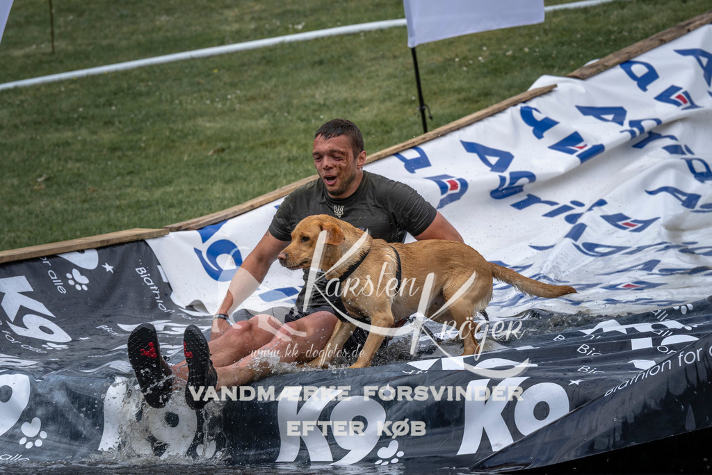 1147_ZZ93913 | kk-dogfotos