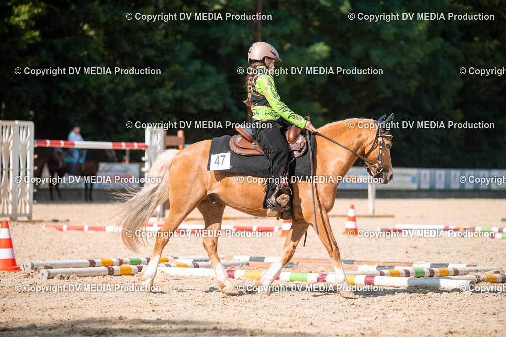 EWP_6954 | dv-media-shop - Realisiert mit Pictrs.com