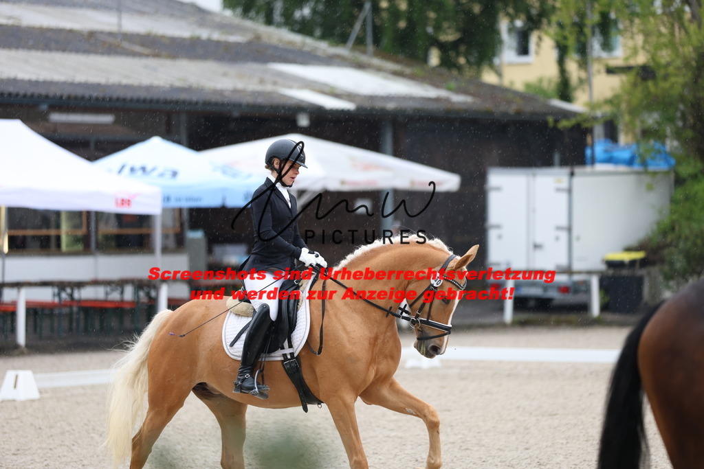 A40A7034 | lmwpictures - Realisiert mit Pictrs.com