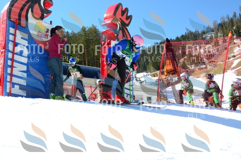 C6957 | holidayphoto