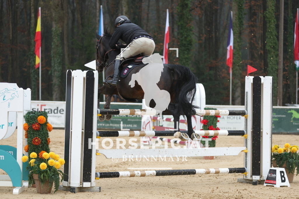 0P6A4327 | Willkommen bei Brunnmayr - Design & Fotografie – Ihrem Spezialisten für Reitturniere und Pferdeveranstaltungen in Oberösterreich, Salzburg und Bayern! Seit über 17 Jahren sind wir leidenschaftlich dabei.