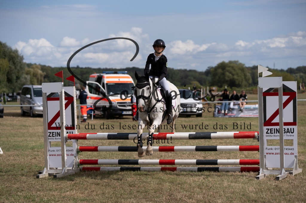 A7V08799 | Pferdefotograf