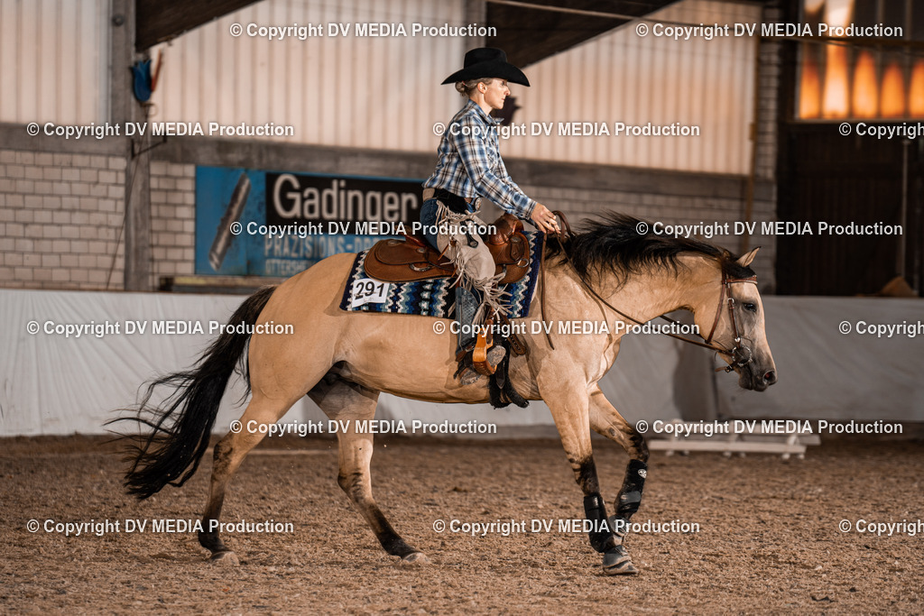 ZH300300 | dv-media-shop - Realisiert mit Pictrs.com