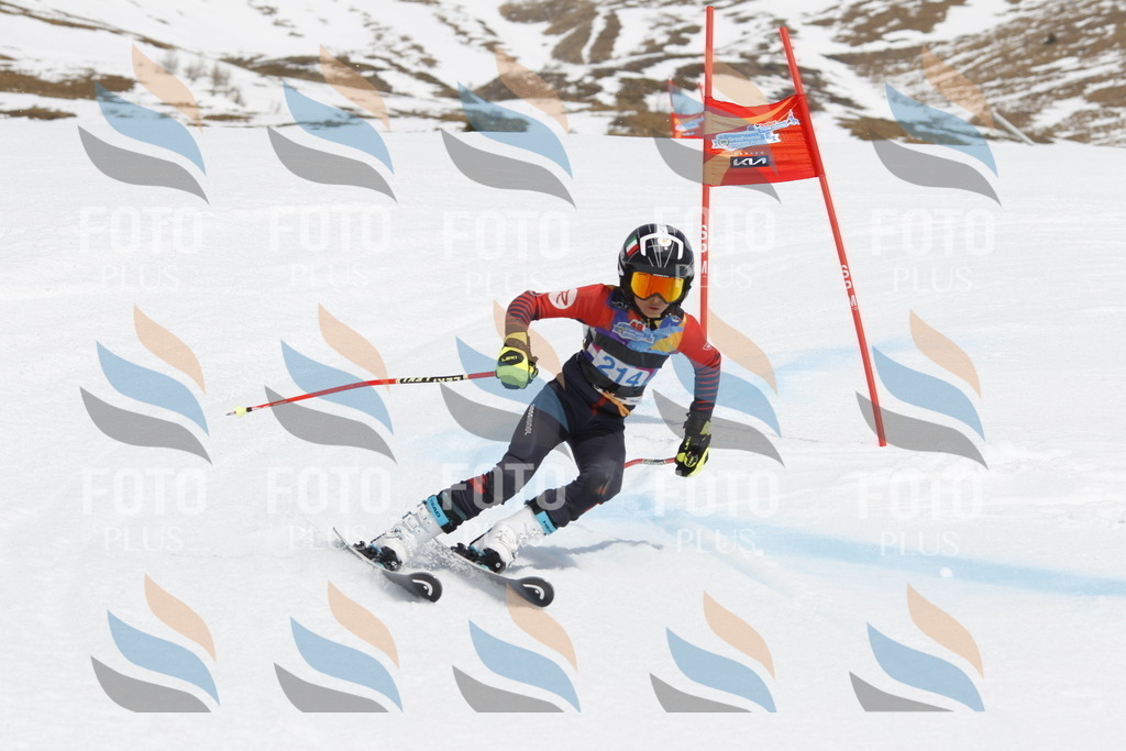 _U3G2284 | holidayphoto