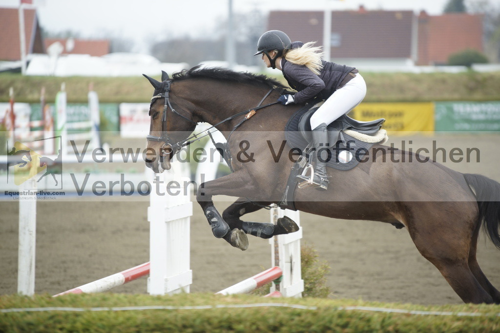 _DSC3843 | equestrian-live-com