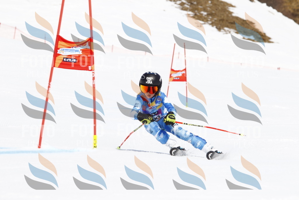 _U3G5210 | holidayphoto