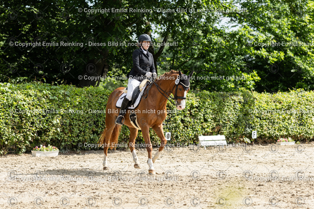 CL5A7649 | Emilia Reinking Fotografie - Realisiert mit Pictrs.com