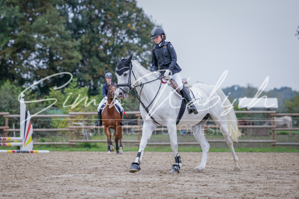 20251012-_3LI3102 | Tierfotografie Pferde, Hunde, Katzen, Haustiere.
Turnierfotografie Reitturniere, Reiten, Springreiten, Dressur in Hanau, dem Main-Kinzig-Kreis und dem Rhein-Main- Gebiet um Frankfurt