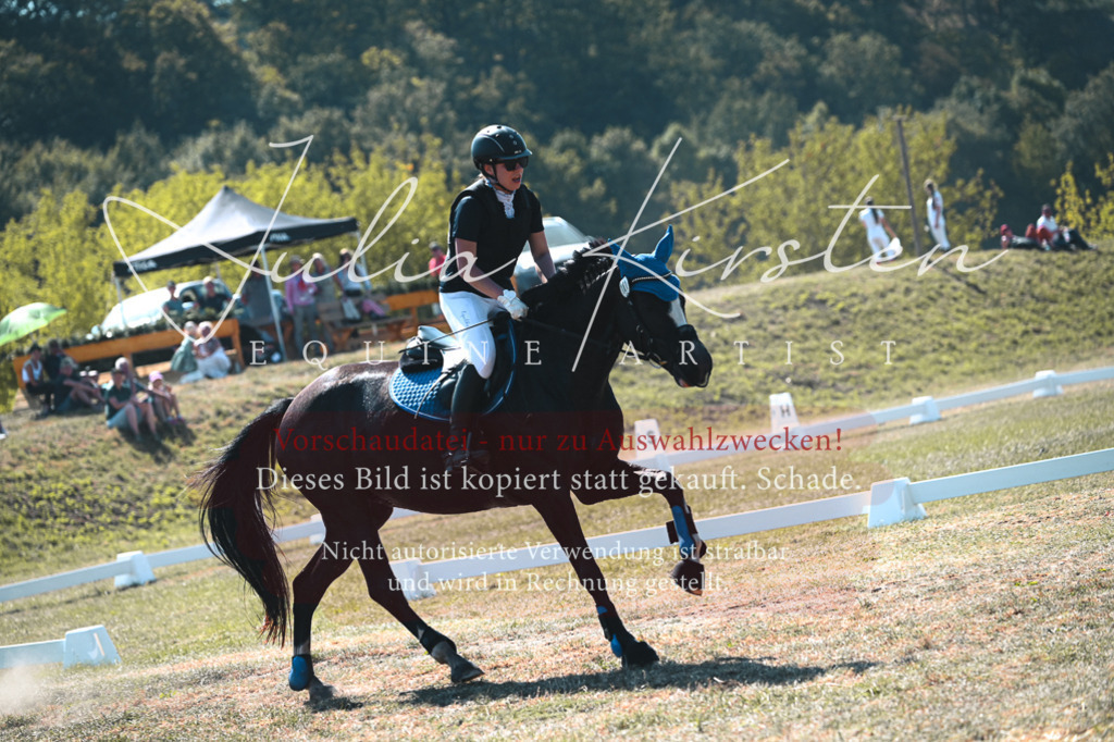 DSC_8113 | Pferde- und Turnierfotografie in Westsachsen. Pferdeportraits, Auftragszeichnungen und intuitive Kunst.