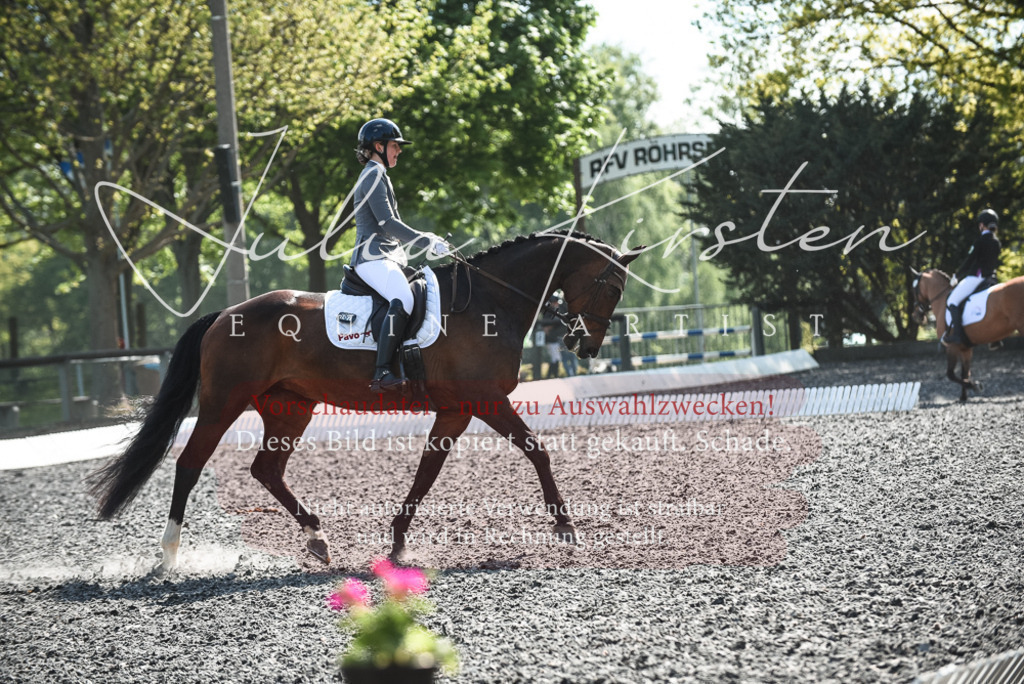 DSC_8942 | Pferde- und Turnierfotografie in Westsachsen. Pferdeportraits, Auftragszeichnungen und intuitive Kunst.