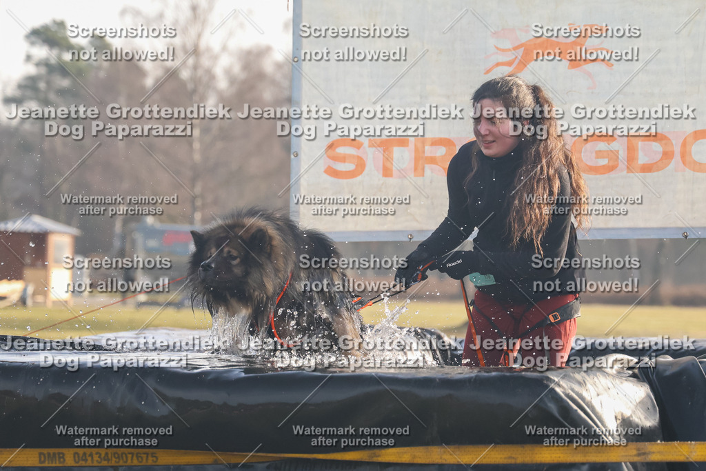Dog Paparazzi - SD North 0326 900930-72 | Dog Paparazzi Jeanette Grottendiek Fotografie & Videografie - Realisiert mit Pictrs.com