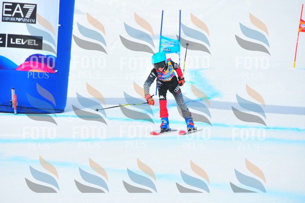 DSC_1991 | holidayphoto